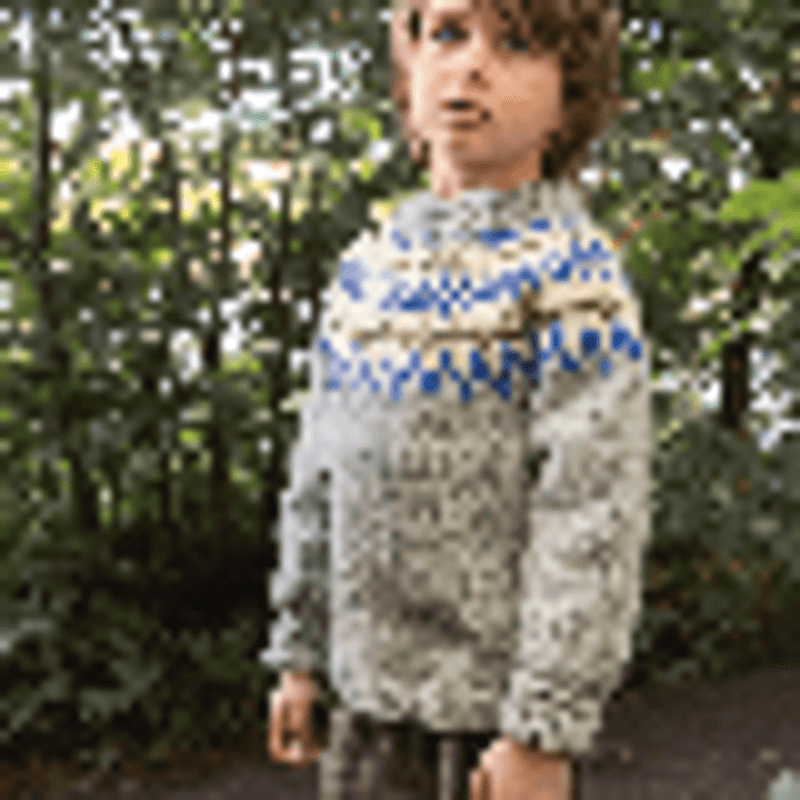 Polar-Light Barnegenser