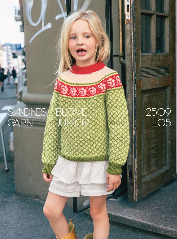 Enkeltoppskrift / 2509 Norske ikoner junior / Nr. 5