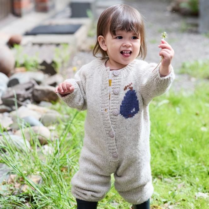 Hovedbilde 475-6 Pæredress oppskrift